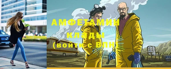 дживик Новозыбков
