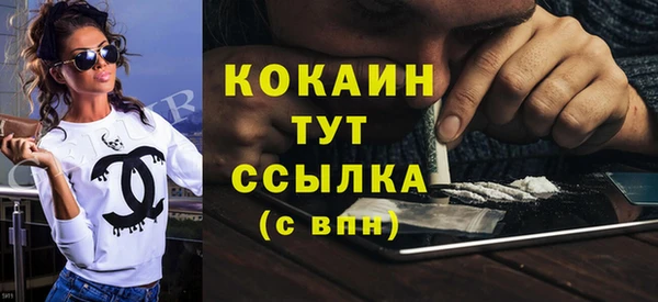 твердый Новодвинск